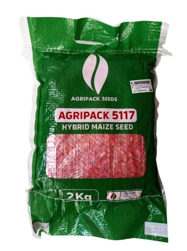 AGRIPACK MAIZE 5117 (HYBRID MAIZE SEED) – Agripack Seeds