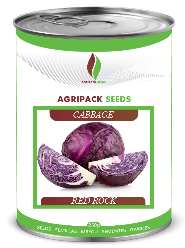 CABBAGE REDROCK