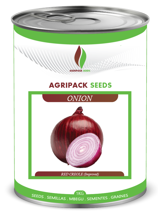 ONION RED CREOLE